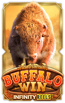 buffalo-win